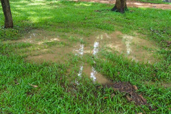 Cost of Storm Water Drainage Service in Lorain