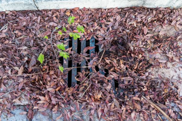Cost of Yard Drain Unclogging in Lorain