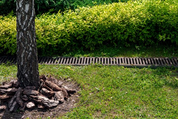 Cost of Wet Yard Drainage in Lorain