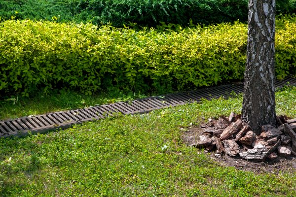Cost of Residential Landscape Drainage in Lorain