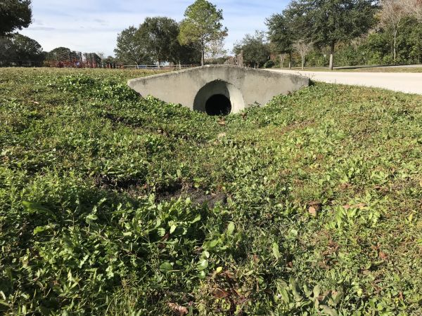 Cost of Swale Drainage Service in Lorain